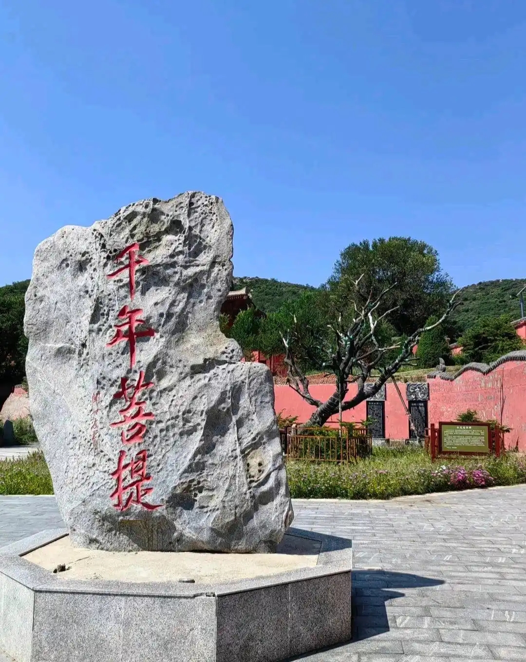 它是一座冷门的千年古寺：藏于孤岛之上，一颗菩提树与古刹相伴 ...